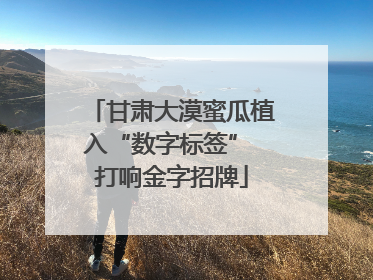 甘肃大漠蜜瓜植入“数字标签” 打响金字招牌