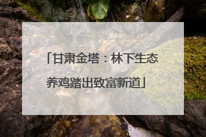 甘肃金塔：林下生态养鸡踏出致富新道