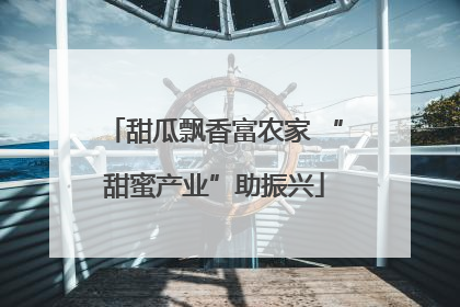 甜瓜飘香富农家 “甜蜜产业”助振兴