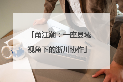 甬江潮：一座县域视角下的浙川协作