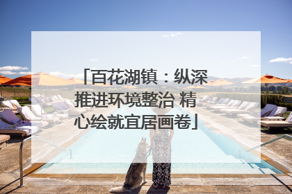 百花湖镇：纵深推进环境整治 精心绘就宜居画卷