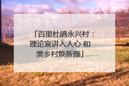 百里杜鹃永兴村：理论宣讲入人心 和美乡村焕新颜