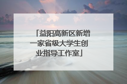 益阳高新区新增一家省级大学生创业指导工作室