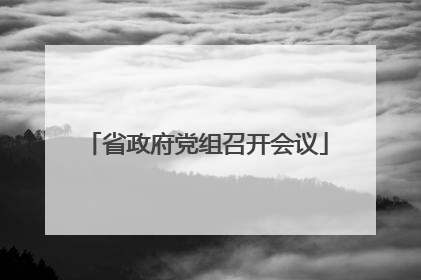 省政府党组召开会议