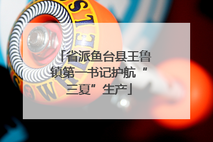 省派鱼台县王鲁镇第一书记护航“三夏”生产