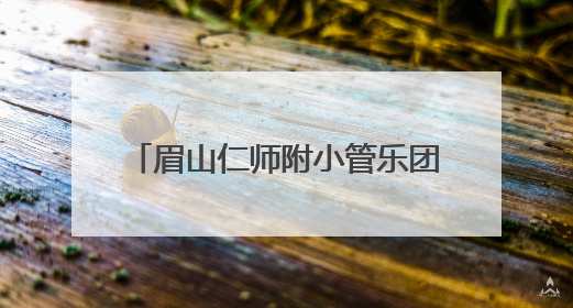 眉山仁师附小管乐团：以乐铸魂奏响“四好少年”成长乐章