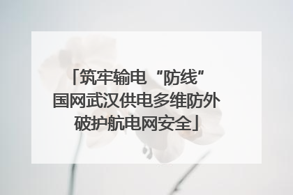 筑牢输电“防线” 国网武汉供电多维防外破护航电网安全