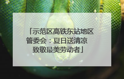 示范区高铁东站地区管委会：夏日送清凉 致敬最美劳动者
