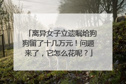 离异女子立遗嘱给狗狗留了十几万元！问题来了，它怎么花呢？