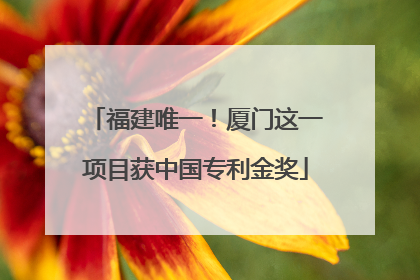 福建唯一！厦门这一项目获中国专利金奖