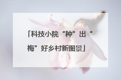科技小院“种”出“梅”好乡村新图景