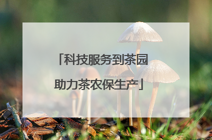 科技服务到茶园 助力茶农保生产