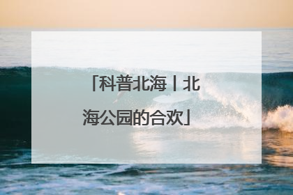 科普北海丨北海公园的合欢