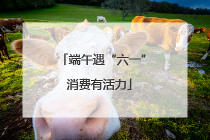 端午遇“六一” 消费有活力