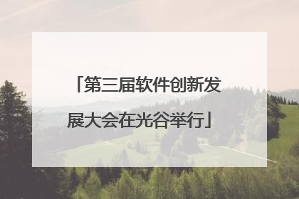第三届软件创新发展大会在光谷举行