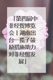 第四届中非经贸博览会丨湖南出台一揽子鼓励措施助力对非经贸发展
