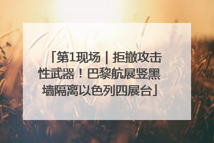 第1现场｜拒撤攻击性武器！巴黎航展竖黑墙隔离以色列四展台