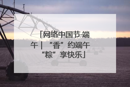 网络中国节·端午｜“香”约端午 “粽”享快乐