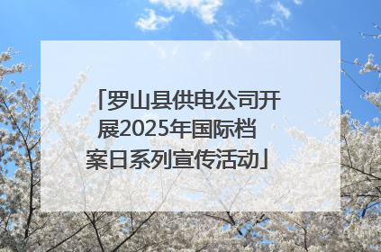 罗山县供电公司开展2025年国际档案日系列宣传活动