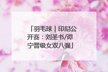 羽毛球｜印尼公开赛：刘圣书/谭宁晋级女双八强