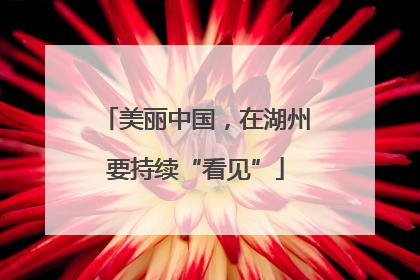 美丽中国，在湖州要持续“看见”
