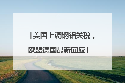 美国上调钢铝关税，欧盟德国最新回应
