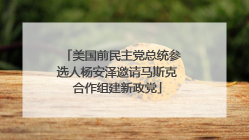 美国前民主党总统参选人杨安泽邀请马斯克合作组建新政党