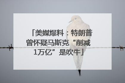 美媒爆料：特朗普曾怀疑马斯克“削减1万亿”是吹牛
