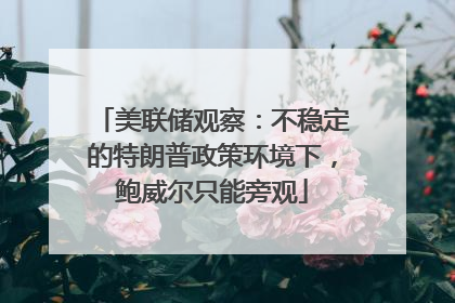 美联储观察：不稳定的特朗普政策环境下，鲍威尔只能旁观