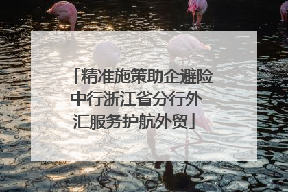 精准施策助企避险 中行浙江省分行外汇服务护航外贸