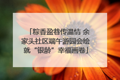 粽香盈巷传温情 余家头社区端午游园会绘就“银龄”幸福画卷