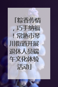 粽香传情，巧手纳福！常熟市琴川街道开展退休人员端午文化体验活动