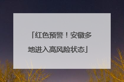 红色预警！安徽多地进入高风险状态
