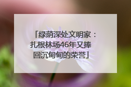 绿荫深处文明家：扎根林场46年又捧回沉甸甸的荣誉
