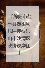 绵阳市盐亭县嫘祖幼儿园接待乐山市沙湾区政协观摩团