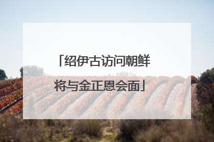绍伊古访问朝鲜 将与金正恩会面