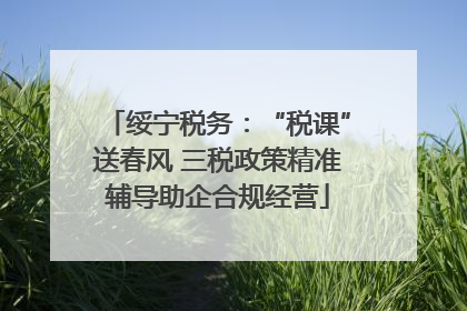 绥宁税务：“税课”送春风 三税政策精准辅导助企合规经营