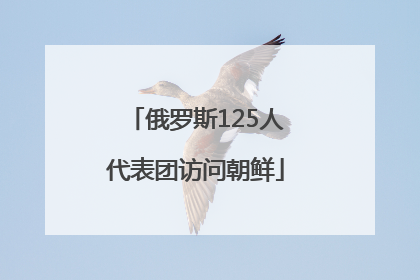 俄罗斯125人代表团访问朝鲜
