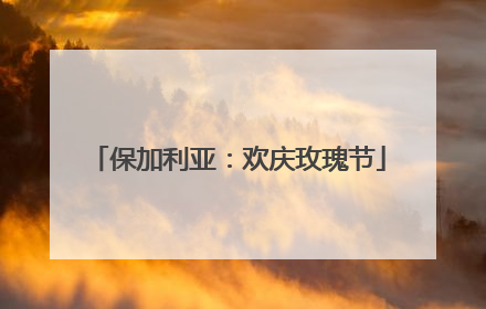 保加利亚：欢庆玫瑰节