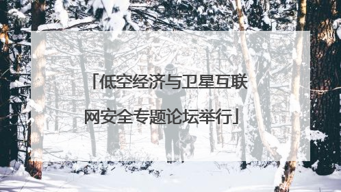 低空经济与卫星互联网安全专题论坛举行