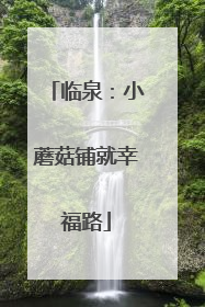 临泉：小蘑菇铺就幸福路