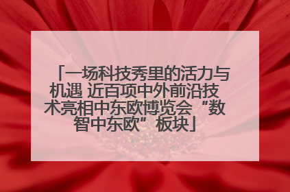 一场科技秀里的活力与机遇 近百项中外前沿技术亮相中东欧博览会“数智中东欧”板块