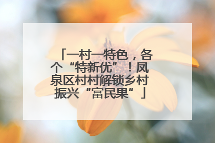 一村一特色，各个“特新优”！凤泉区村村解锁乡村振兴“富民果”