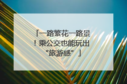 一路繁花一路景！乘公交也能玩出“旅游感”