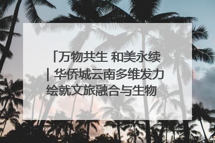 万物共生 和美永续｜华侨城云南多维发力 绘就文旅融合与生物多样性保护新图景