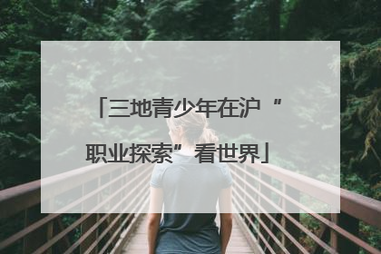 三地青少年在沪“职业探索”看世界