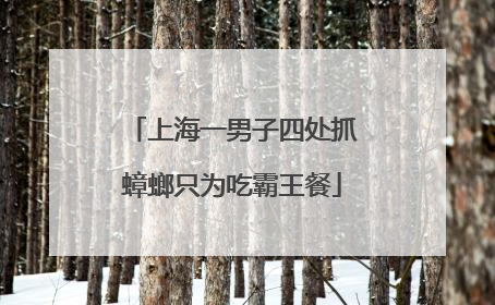 上海一男子四处抓蟑螂只为吃霸王餐