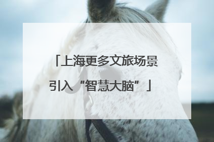 上海更多文旅场景引入“智慧大脑”