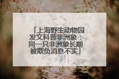 上海野生动物园发文科普非洲象：同一只非洲象长期被欺负消息不实