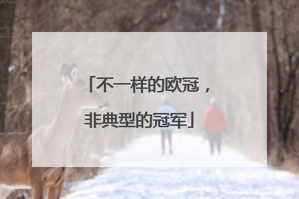 不一样的欧冠，非典型的冠军